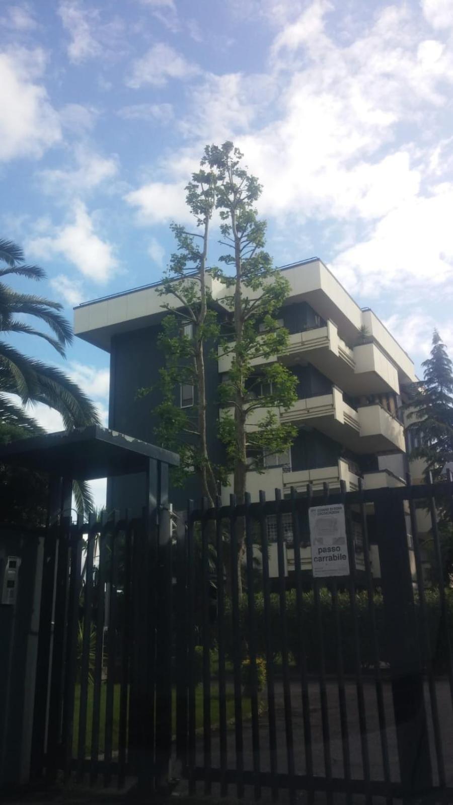 Casa Giordano Lägenhet Rom Exteriör bild